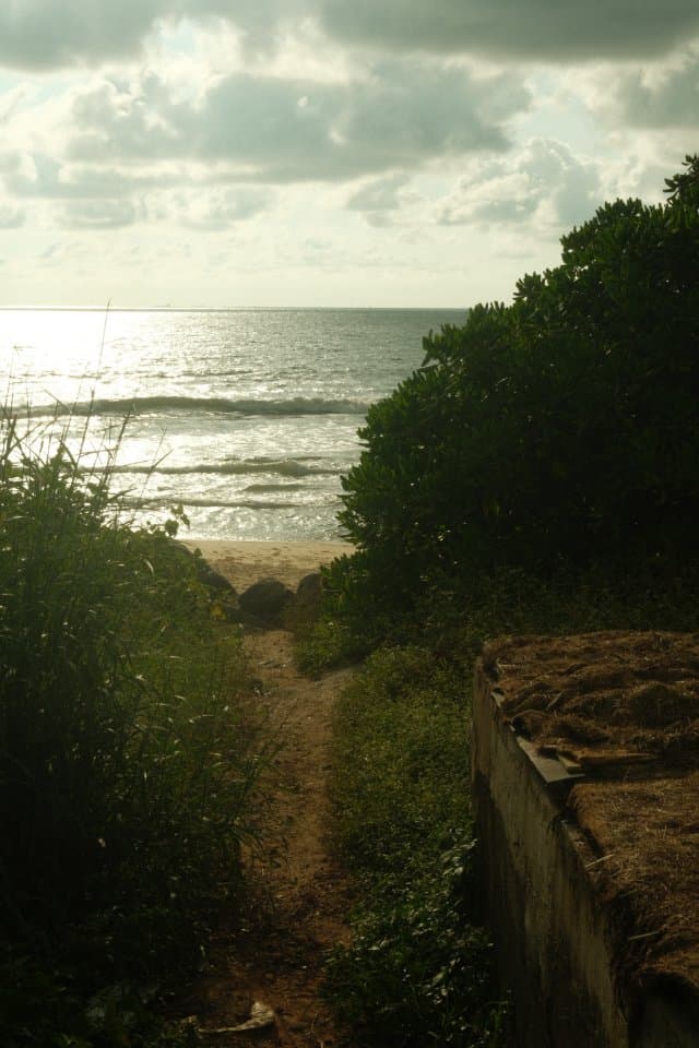 Path to the beach, using Fujifilm Classic Chrome